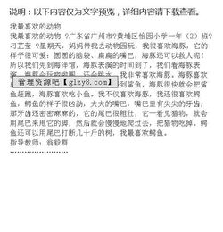 喜愛(ài)之物的作文開(kāi)頭
