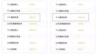 關(guān)于社保的這些信息不能錯過(guò)(吃什么對頭發(fā)好 這些食物不能錯過(guò))