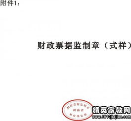 票據管理整改報告(非稅票據管理整改報告)