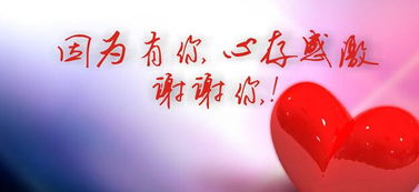 你是我最感激的人作文如何開(kāi)頭