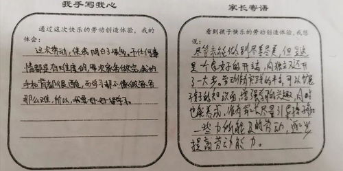 你勞動(dòng)的樣子真美作文優(yōu)美開(kāi)頭