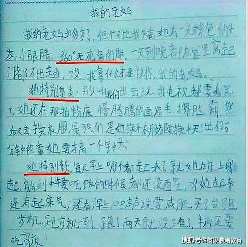 運用比喻開(kāi)頭的作文80字
