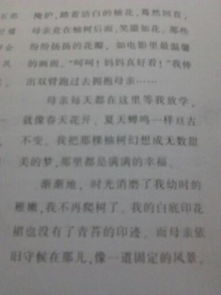 關(guān)于親情記敘文的作文開(kāi)頭