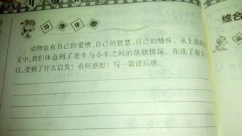 輕敵的下場(chǎng)作文250字(下場(chǎng)作文)