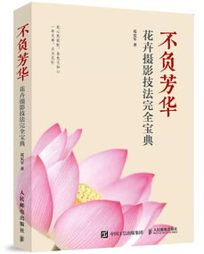 不負芳華作文開(kāi)頭