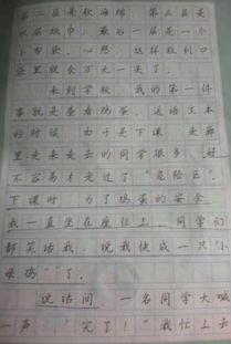 守護雞蛋小作文開(kāi)頭