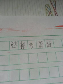 作文600字初中開(kāi)頭