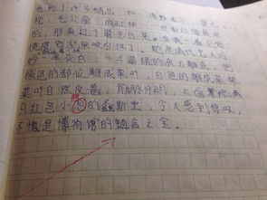 以環(huán)境描寫(xiě)為開(kāi)頭的寫(xiě)事的作文600字作文