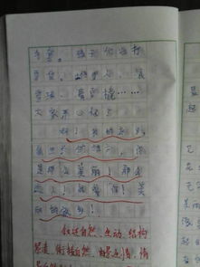 四級第六單元作文好開(kāi)頭結尾