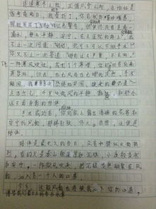 簡(jiǎn)單而美好的陪伴作文開(kāi)頭結尾
