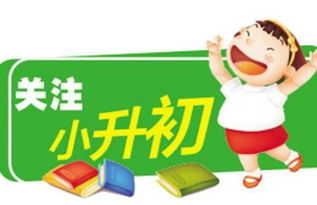 關(guān)于如何備戰小升初英語(yǔ)考試(關(guān)于如何備戰小升初英語(yǔ)考試)