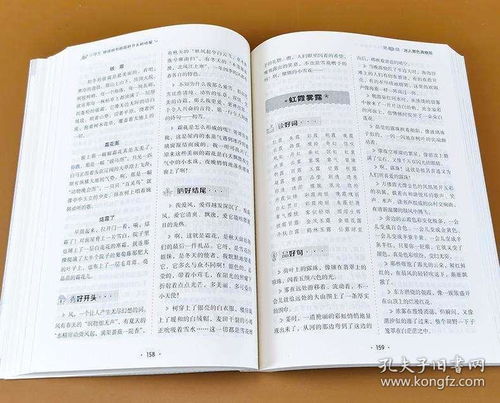 高級好的作文開(kāi)頭