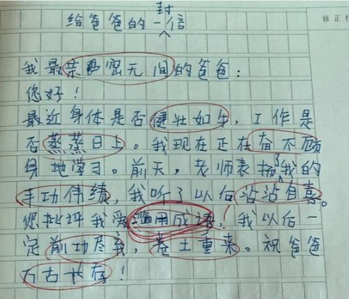 我的奶奶作文開(kāi)頭怎么寫(xiě),我的奶奶的作文開(kāi)頭,我的奶奶作文開(kāi)頭結尾