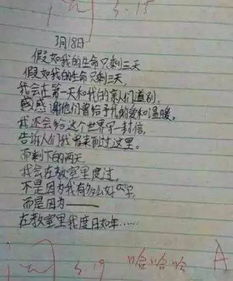 誤會(huì )父母作文開(kāi)頭結尾怎么寫(xiě)