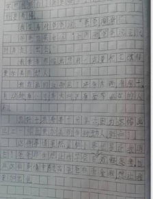 我居住的社區小事作文開(kāi)頭