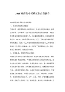 政府集中采購工作的自查總結報告范文(個(gè)人自查總結報告)