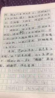享受堅(jiān)持的樂(lè)趣的作文開頭