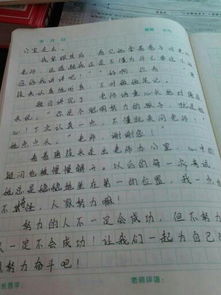 關(guān)于老師啟迪學(xué)生的作文開(kāi)頭