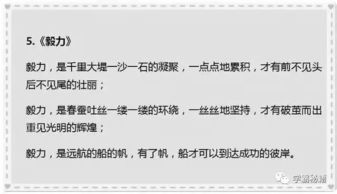 遇見(jiàn)滿(mǎn)分作文開(kāi)頭