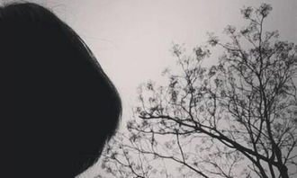 關(guān)于挫折的滋味的作文開(kāi)頭
