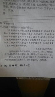 寫(xiě)是寫(xiě)環(huán)境的作文開(kāi)頭