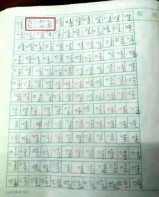 每天是一首詩(shī)作文開(kāi)頭