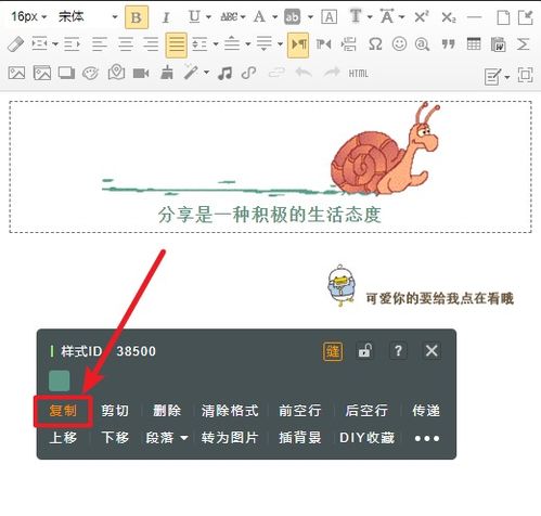 最關(guān)心你的人是你自己的作文開(kāi)頭結(jié)尾