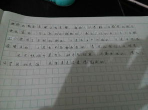 秋游作文常用的開(kāi)頭和結(jié)尾