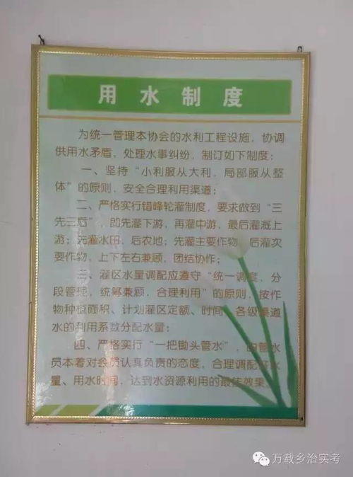 道德實(shí)踐伴我行作文開(kāi)頭