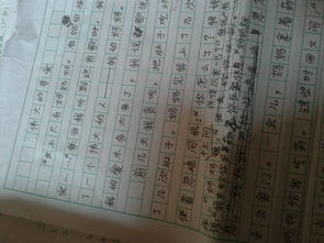 我考試的母愛(ài)作文開(kāi)頭結尾