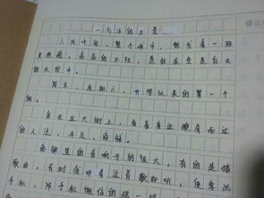 情境法描寫(xiě)的開(kāi)頭作文