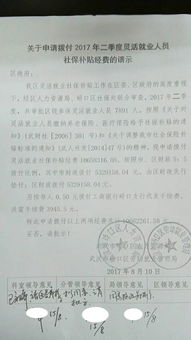 補助資金個(gè)人申請報告(項目補助資金申請報告)