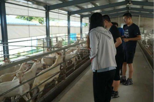 農村土地助推鄉村振興調研報告(苦難是成功的助推器作文)
