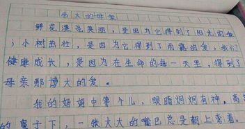 我愛(ài)那微笑作文600字作文開(kāi)頭