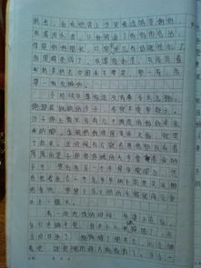 在我記憶的長(cháng)河中開(kāi)頭,溫暖開(kāi)頭記憶的長(cháng)河,在記憶的長(cháng)河里開(kāi)頭的作文有哪些