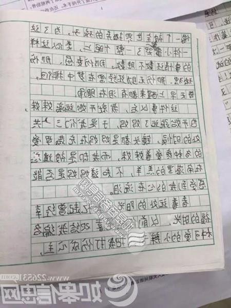 我真不應該說(shuō)謊的作文開(kāi)頭