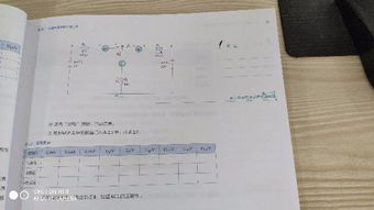 大學(xué)電路實(shí)驗報告(電路實(shí)驗報告要求)
