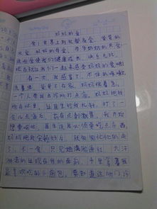 我的媽媽關(guān)心作文開(kāi)頭結尾