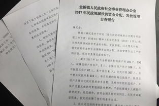 扶貧自查報告(扶貧資金自查報告)