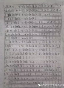 那一天我與你相遇五百字作文開(kāi)頭