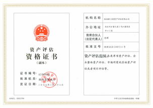 專(zhuān)利資產(chǎn)評估報告()