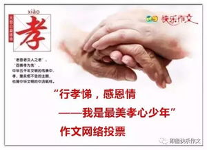 我孝心我感恩作文開(kāi)頭結尾