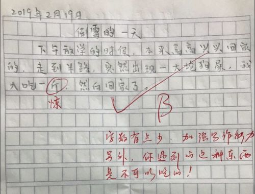 標點符號的遐想作文開頭