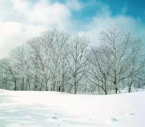 雪景色作文開(kāi)頭結尾