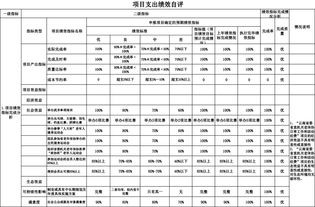 項目績(jì)效自評報告(項目績(jì)效考核自評報告)