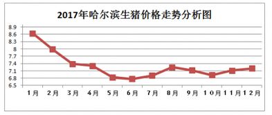 比價(jià)報價(jià)情況報告(比價(jià)報價(jià)情況報告)