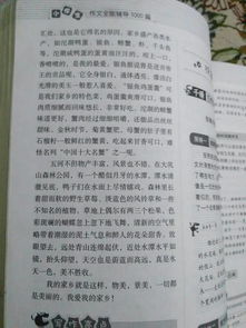 作文家鄉(xiāng)的美開頭
