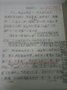 小實(shí)驗作文50字開(kāi)頭