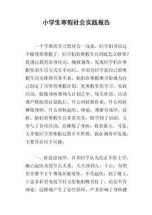 小學(xué)生寒假實(shí)踐報告()