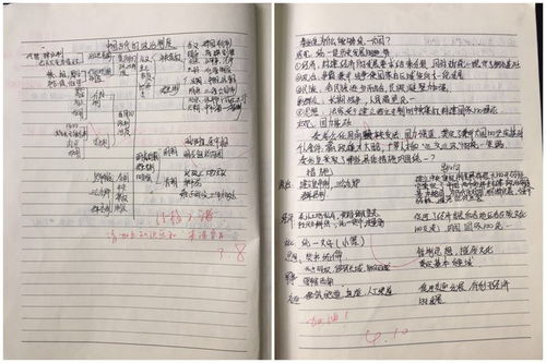 帶教老師的評語(yǔ)(帶教老師評語(yǔ))